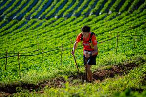 BIB: 
                            <button type="button" onclick="openModal(19160473)" class="btn btn-primary btn-sm float-right btn-popup" data-toggle="modal" data-target=".modal-high-quality">
                        <i class="fas fa-shopping-cart"></i> Add to Cart
                    </button>
                                            <button type="button" onclick="isThisMe(19160473, true)" class="btn btn-success btn-sm float-right btn-popup btn-isme hidden" data-toggle="tooltip" data-placement="bottom" title="นี่คือรูปของคุณใช่ไหม คลิกที่นี่เพื่อเอาเข้าอัลบั้ม">
                        <i class="fas fa-plus"></i> Add to album
                    </button>
                    <button type="button" onclick="isThisMe(19160473, false)" class="btn btn-warning btn-sm float-right btn-popup btn-isnotme hidden">
                        <i class="fas fa-ban"></i> Remove from album
                    </button>